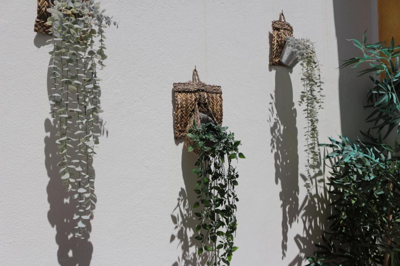 فيلا Birdy House فارو المظهر الخارجي الصورة